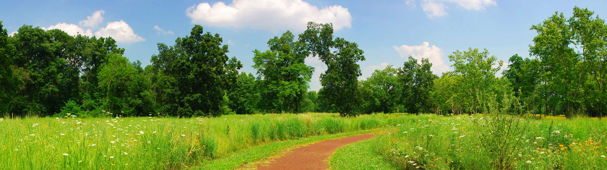 rita_walter_header_03