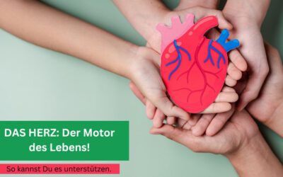 Das Herz, der Motor des Lebens!