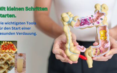 Die Magie des Verdauungssystems