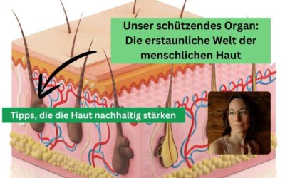 Die erstaunliche Welt der Haut
