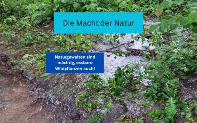 Die Macht der Natur