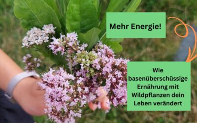 Basenfasten